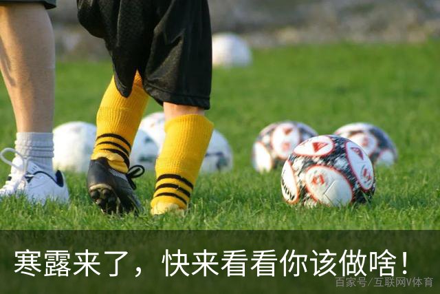 寒露来了，快来看看你该做啥！